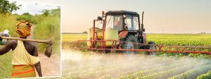 AfDB Agric Innovation