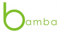 Bamba, a Boutique African Data Collection Agency, Raises $1.1 Million  in First Seed Round