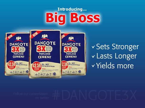 ALERT – Dangote Cement Plc’s 2016FY Net Profit Beat Consensus After Posting Tax Credit