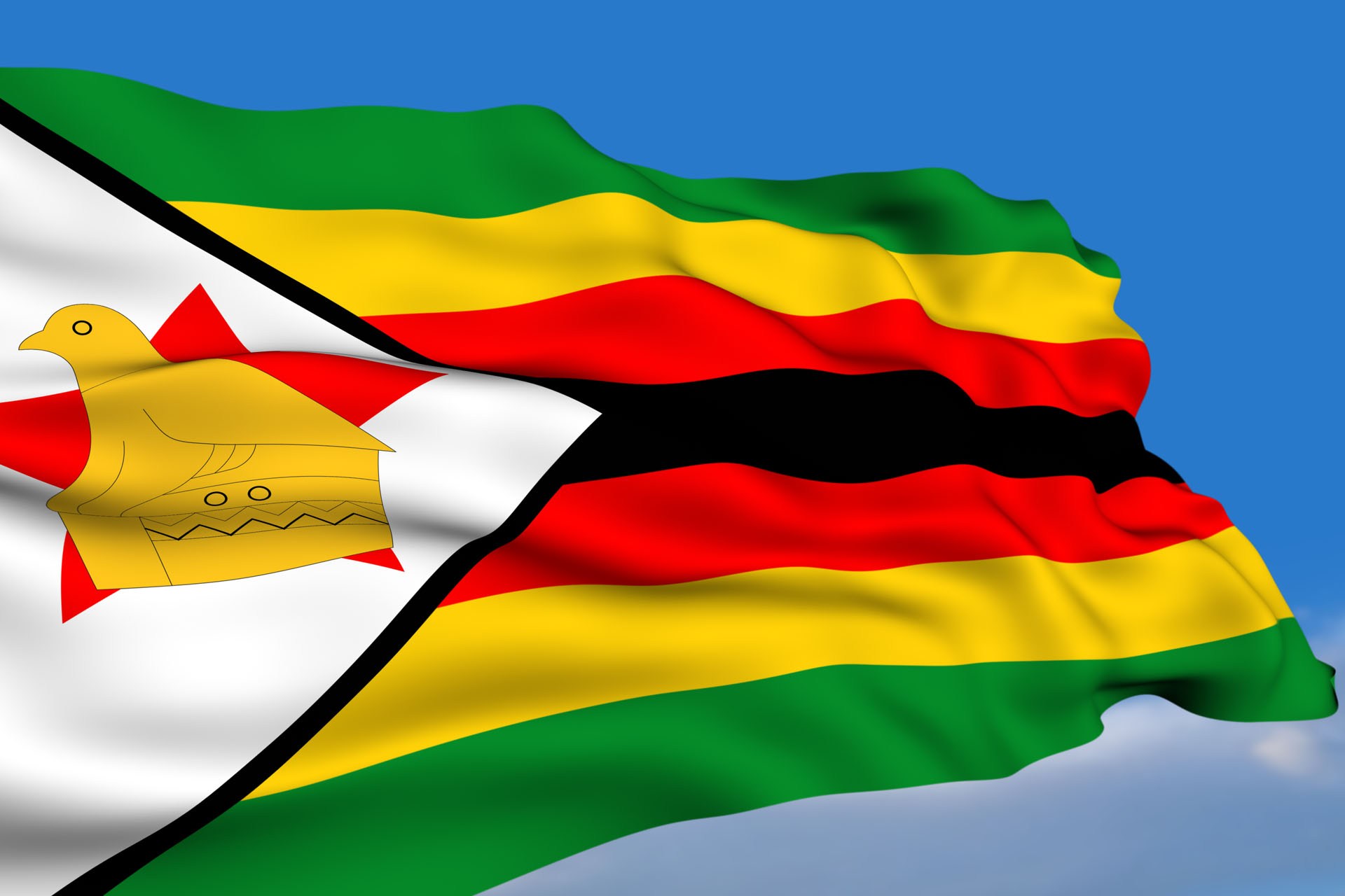 Zimbabwe launches Beef and Leather Value Chain Technical Assistance Project