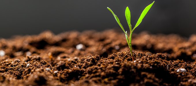AfDB wants greater focus on implementation, as African Green Revolution Forum begins in Abidjan