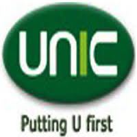 Unic Diversified Holdings Updates on Restructuring