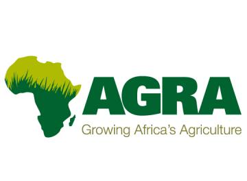 Agribusinesses, African Smallholders Seize $1 Trillion Food Market as Meals Replace Minerals to Restart African Economic Growth-Report