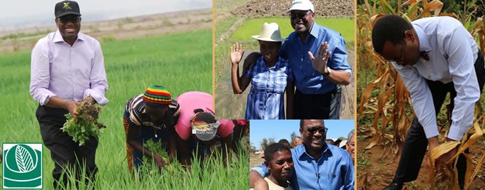 World Food Day: AfDB urges African leaders to make agriculture attractive to young Africans and stem migration