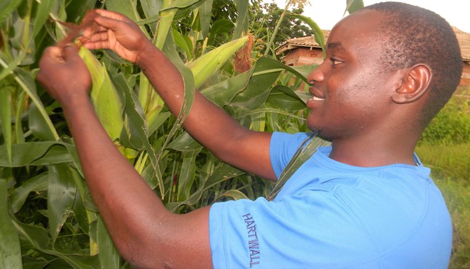 New World Food Prize Africa Institute to produce Borlaug-Adesina Fellows