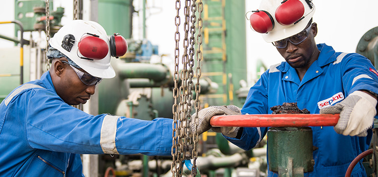 Image result for seplat