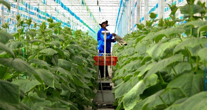 High-Level Officials and private sector leaders to chart actionable plan to accelerate Africa’s agricultural transformation
