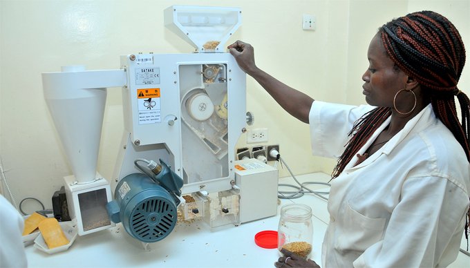 AfDB partners with Purdue University to make technologies available to African farmers