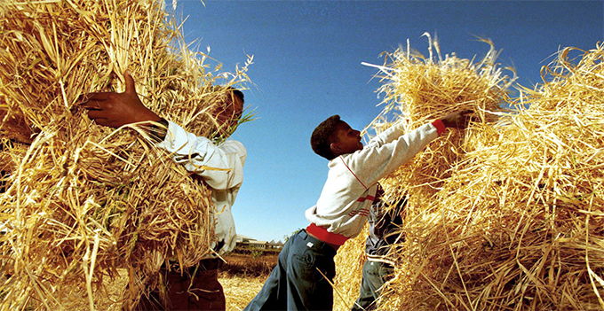 Eritrea: AfDB supports inclusive growth through agriculture and infrastructure development
