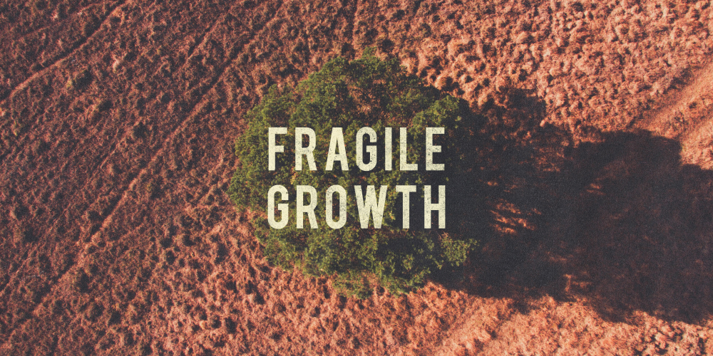 Fragile Growth: A Need for Expansionary Policies