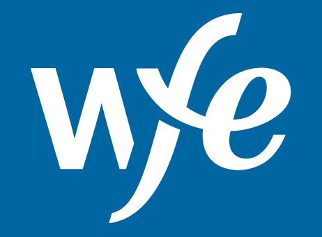 Image result for WFE