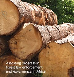 Governance is key to boosting intra-Africa trade of timber products, says report by ANRC, AfDB