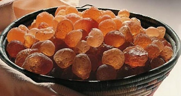 Nigeria is The World’s Third Largest Producer of Gum-Arabic
