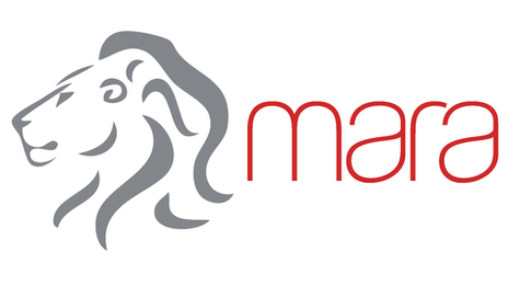 Africa’s Mara Corporation set to introduce Mara X, an Android One phone in partnership with Google