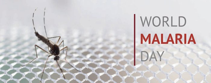 AfDB calls for domestic financing solutions alongside aid in fight against malaria