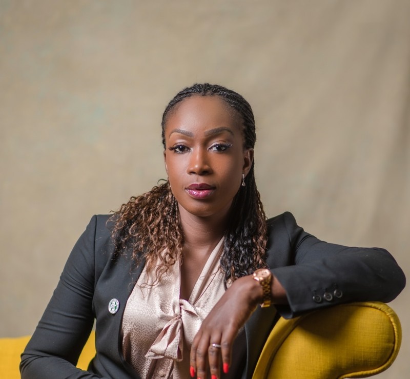 Global Reporting Initiative Amsterdam Appoints Nigerian Sustainability Expert, Bekeme Olowola, As Board Member