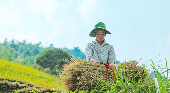ASEAN and the IMF: Staying on Track with the Sustainable Development Goals