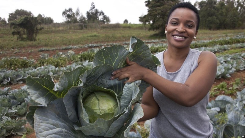 Champoining the Cause: Youths in Agriculture