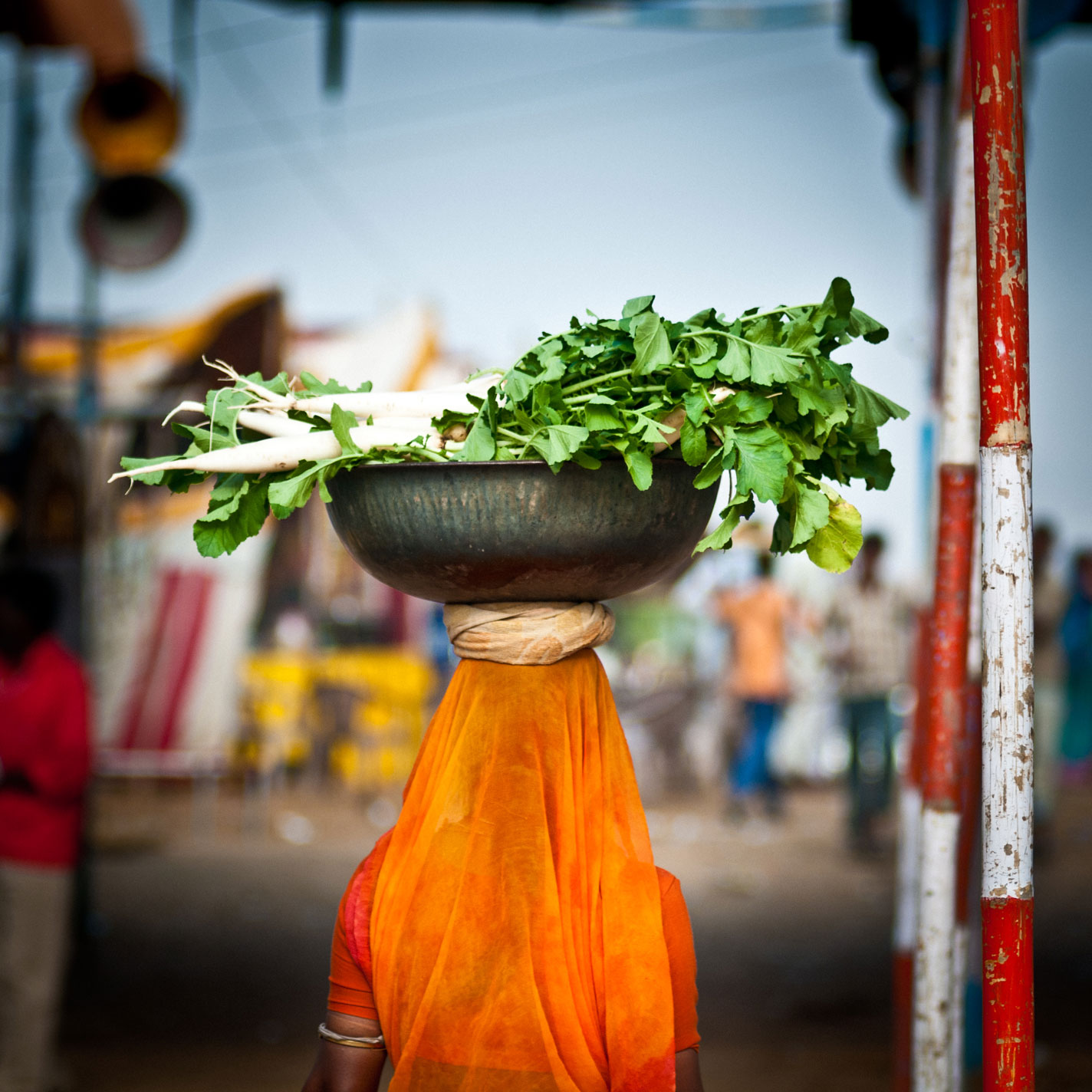 Developing New Pathways to Catalyze Inclusive Growth