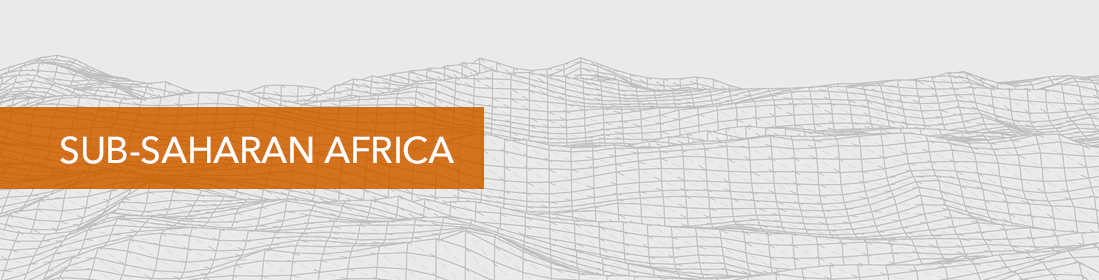 Regional Economic Outlook for Sub-Saharan Africa: Navigating a Long Pandemic