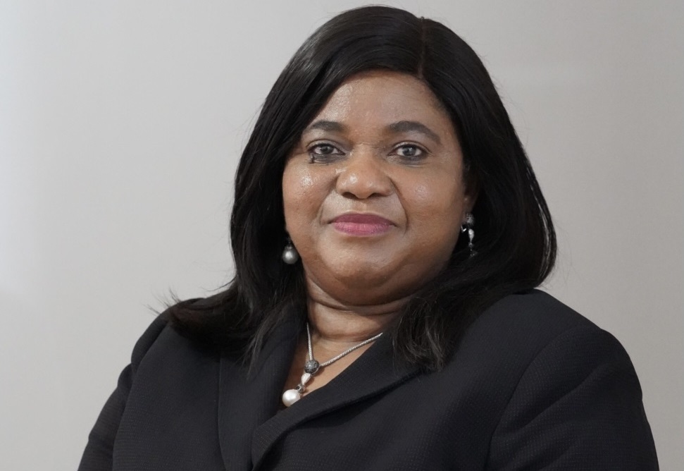 UBA Group Names Caroline Anyanwu as New Board Member