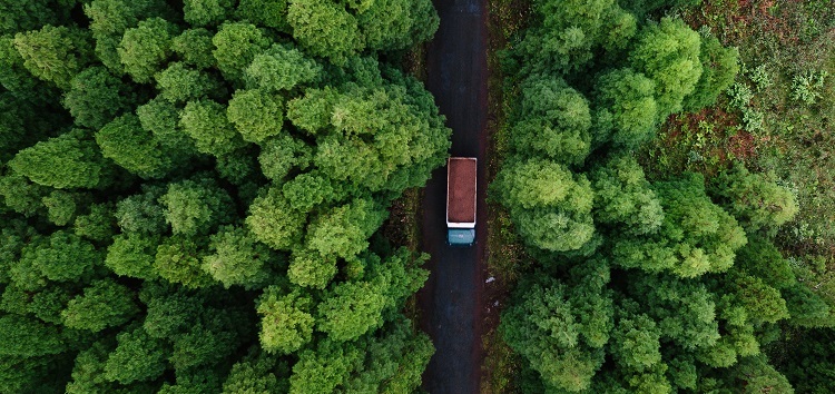 MDBs’ climate finance rose to US$ 66 billion in 2020, joint report shows