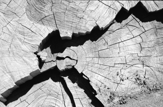 The Four Fault Lines of the World Economy-IMF Weekend Read