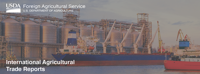 Early Months Suggest a Bright 2021 for United States Agricultural Exports