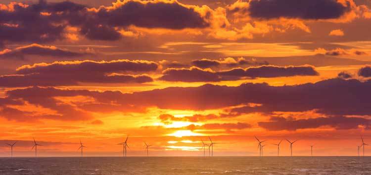 Gaps in Climate Disclosure will Hit Corporate Access to Capital