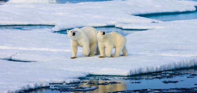 COP26: What’s at Stake for the EBRD Regions