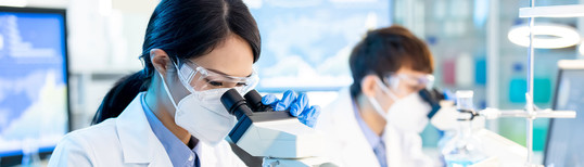 Why Basic Science Matters for Economic Growth
