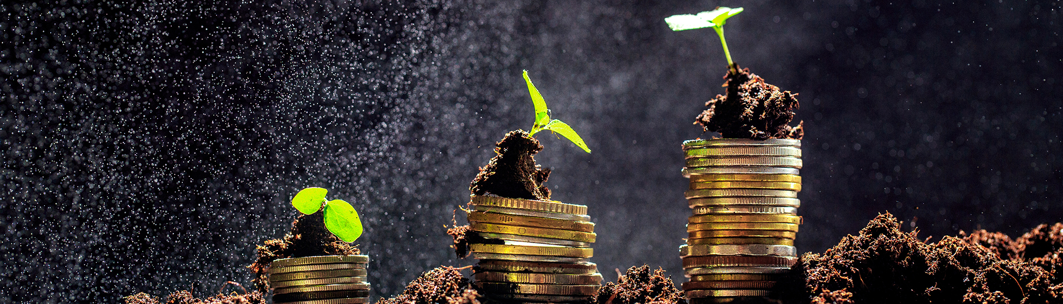 How Investment Funds Can Drive the Green Transition