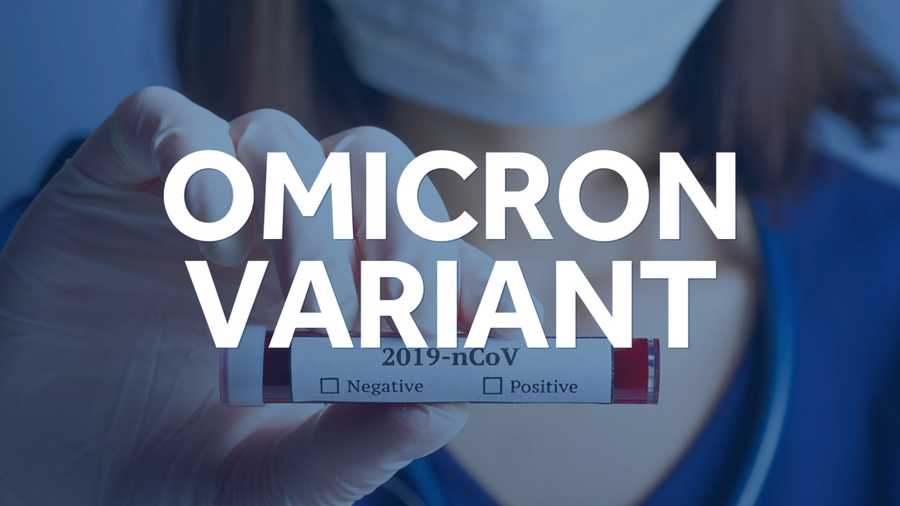 The Omicron Variant and the Nigerian Economy
