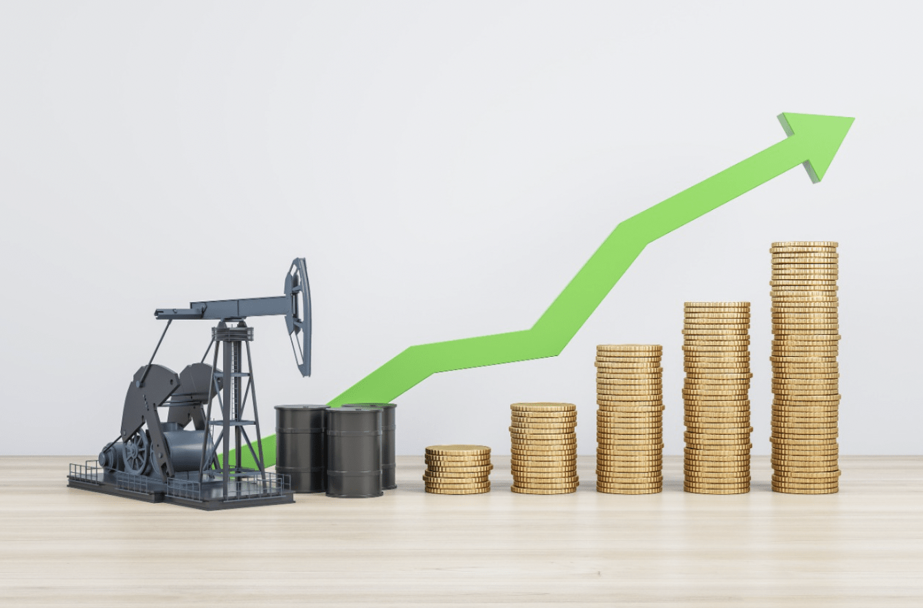 Invest in Talent Development – Lekoil Executive