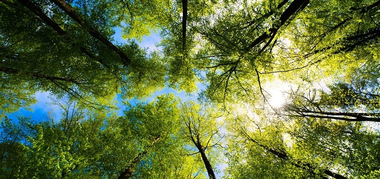 EBRD publishes third TCFD report on climate risk assessment