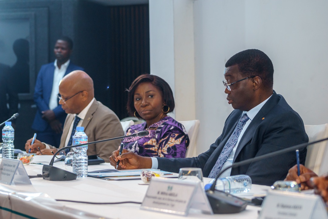 Togo: AfDB, Government Agree to Accelerate Implementation of 2021-2026 Country Strategy Paper