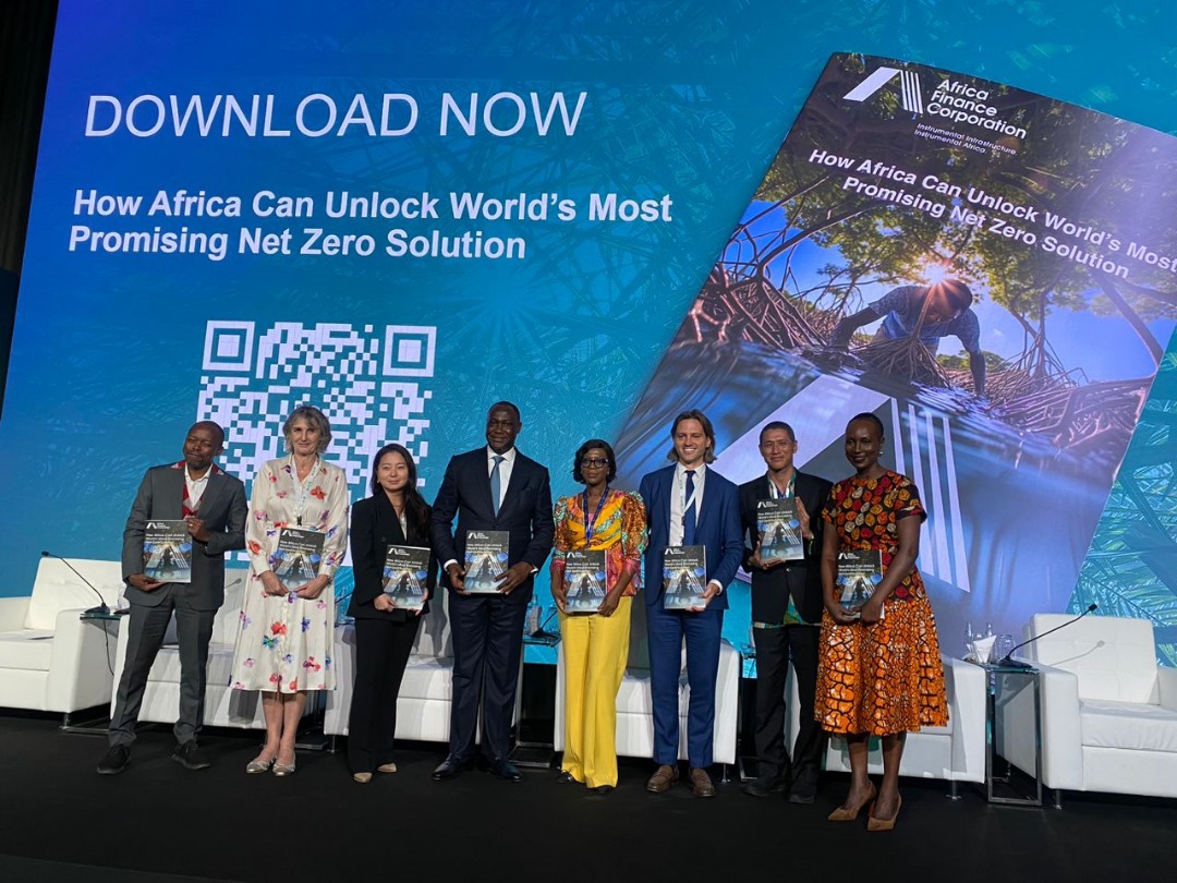 Africa Must Own Carbon Offsets Value Chain Amid Market Failures