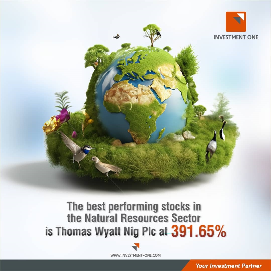 Thomas Wyatt Nigeria Plc: The Leading Company Under Natural Resources