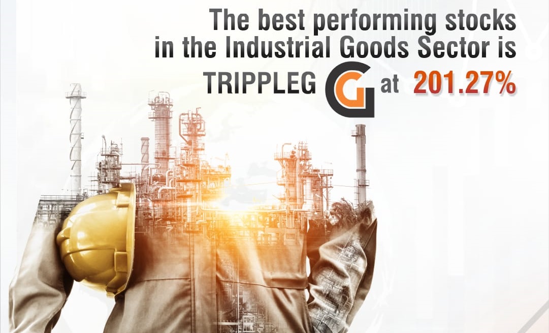 Meet the Powerhouse of Industrial Sector