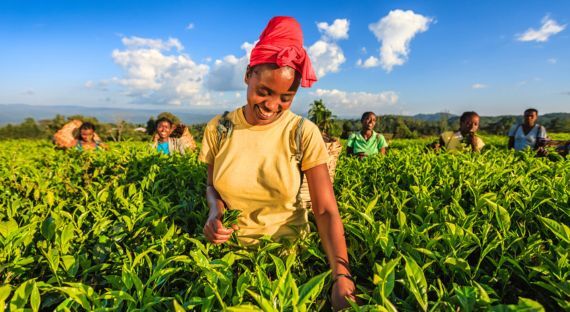 Benin: An African Pioneer