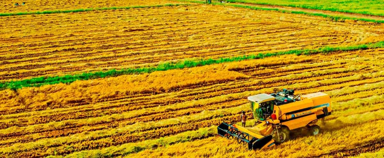 AfDB Hits Record $11 Billion in New Investments for 2024 – 2025 Annual Development Effectiveness Review