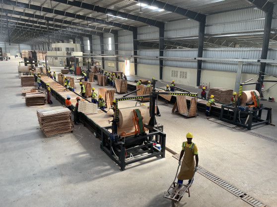 Verdant IMAP Advises Miro Forestry & Timber Products (“Miro”) on its Equity Raise
