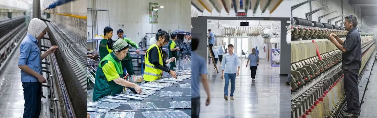 Industrial Policy Can Lift Productivity—but Comes With Risks and Trade-offs