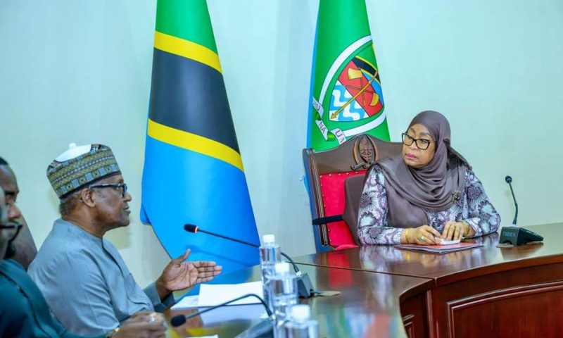 Tanzania, Dangote Group Explore Multi-Billion-Dollar Investments in Infrastructure, Energy, Fertiliser
