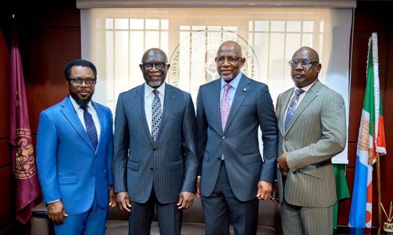 Senate Screens AMCON New Board Chairman, Lamido Yuguda Abubakar