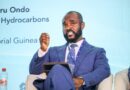 Equatorial Guinea Has Fewer Than Seven Open Blocks After Year of Investor Uptake, Minister Says