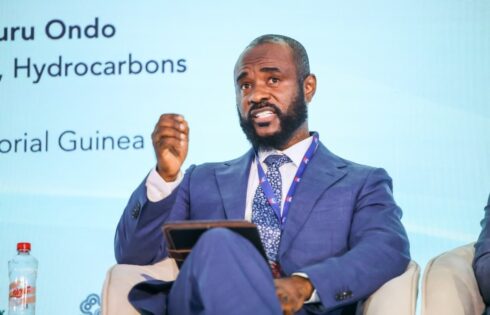 Equatorial Guinea Has Fewer Than Seven Open Blocks After Year of Investor Uptake, Minister Says