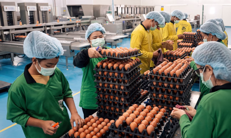 Targeted Support, Not Subsidies, Can Best Protect People When Inflation Surges